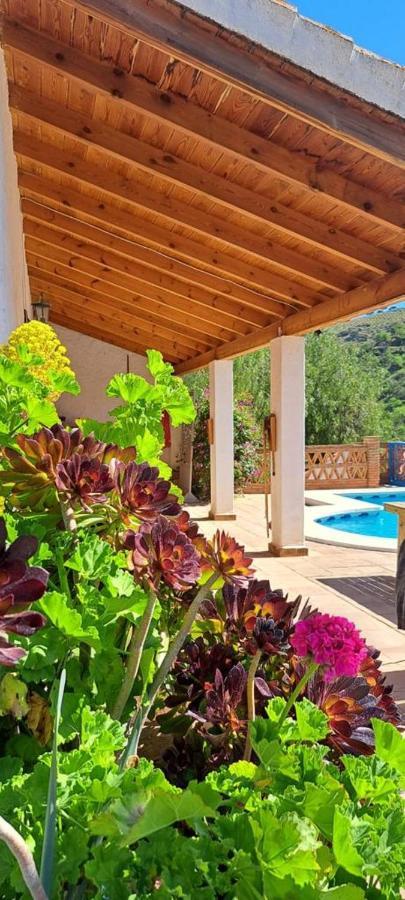 Montana Retreat Bed & Breakfast Alora Luaran gambar